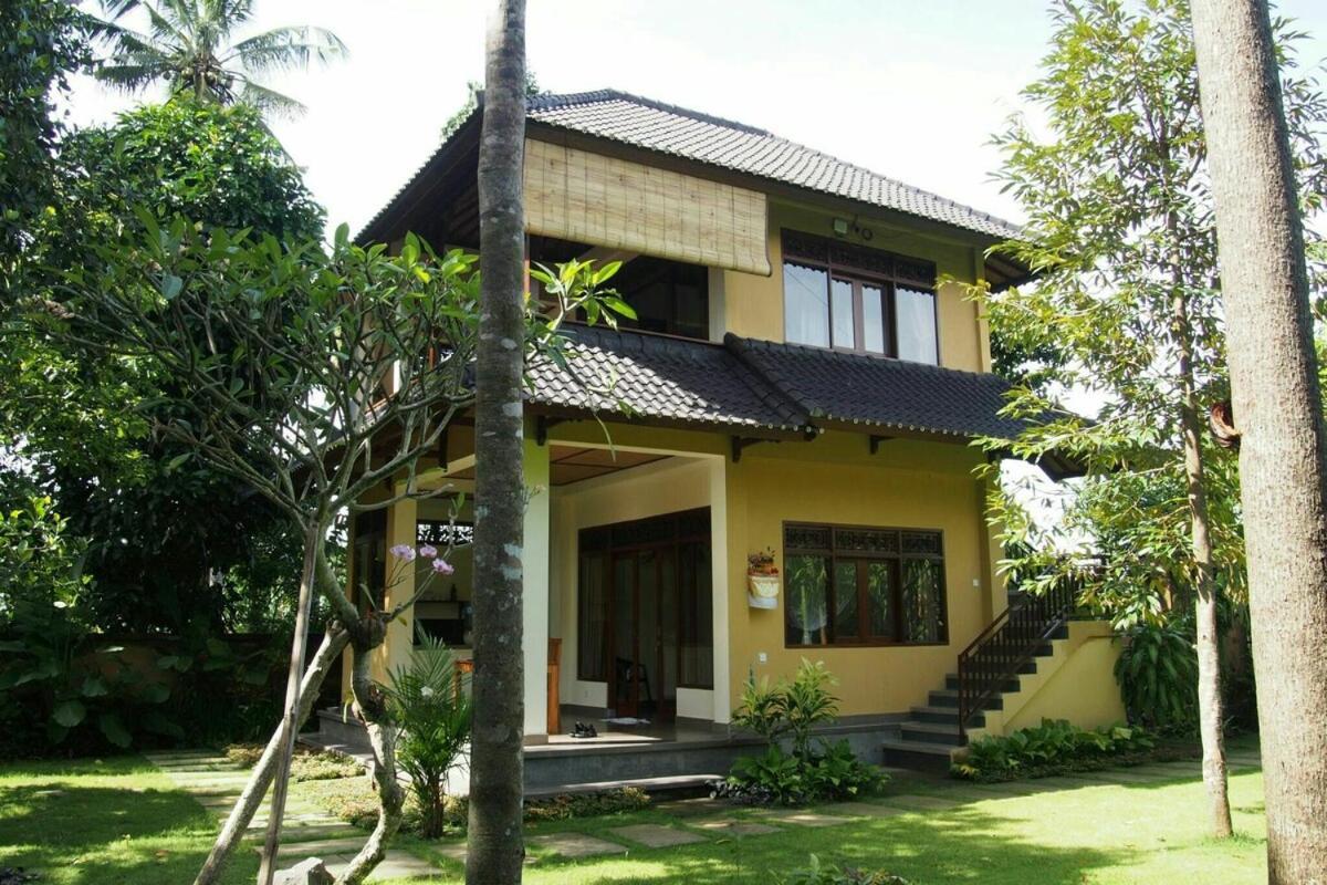 Apartment 2br Jungle House In The Edge Of