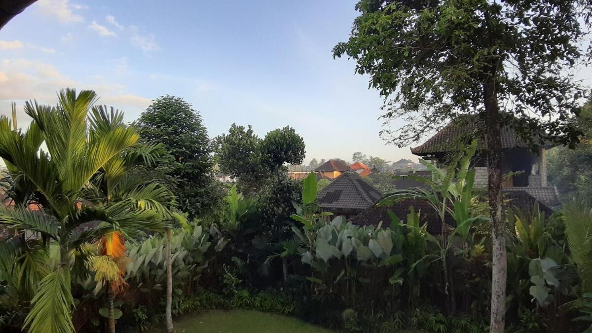 2br Jungle House In The Edge Of Apartment Ubud (Bali)