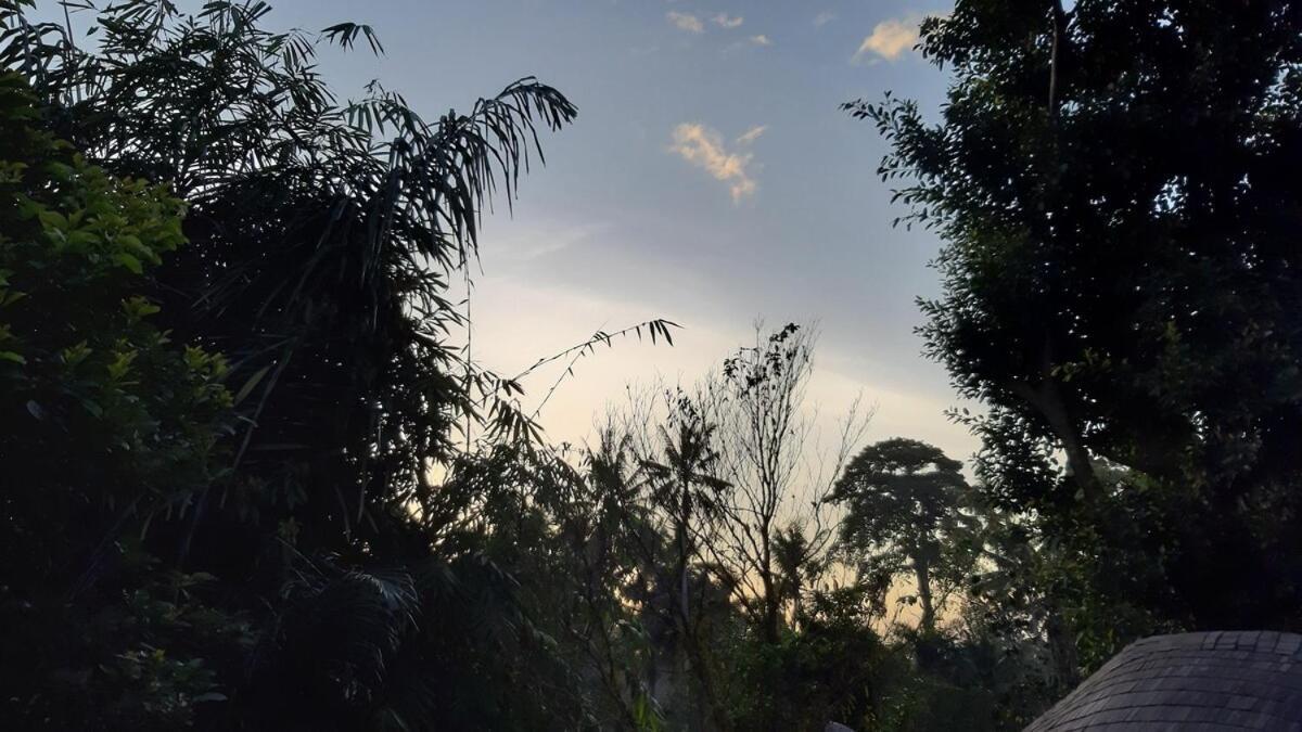 2br Jungle House In The Edge Of Ubud (Bali)