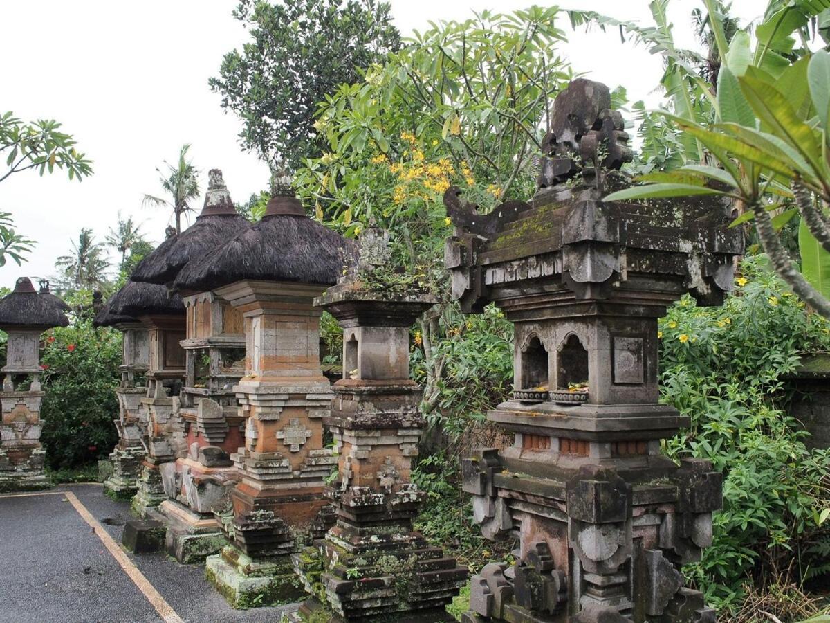 Apartment 2br Jungle House In The Edge Of