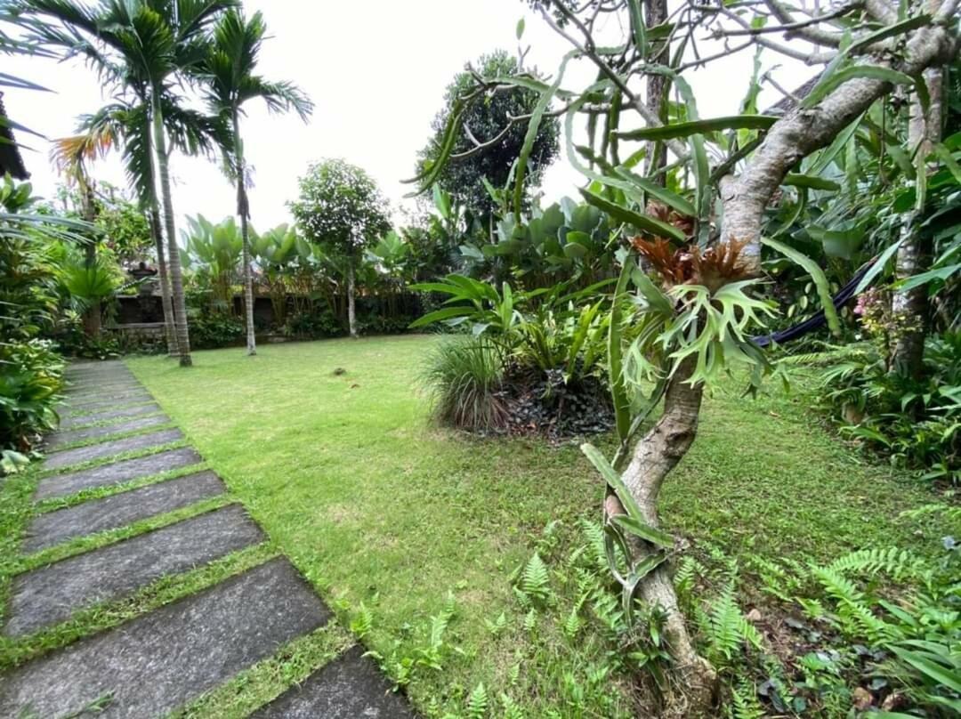 2br Jungle House In The Edge Of Apartment Ubud (Bali)