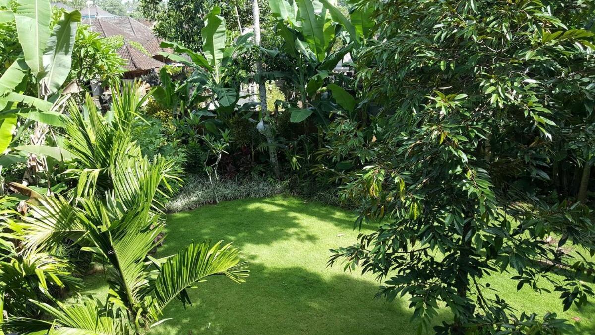 Apartment 2br Jungle House In The Edge Of Ubud (Bali)