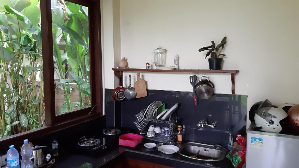 2br Jungle House In The Edge Of *