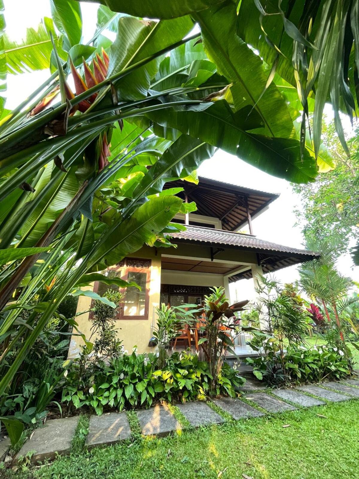 2br Jungle House In The Edge Of Apartment Ubud (Bali)