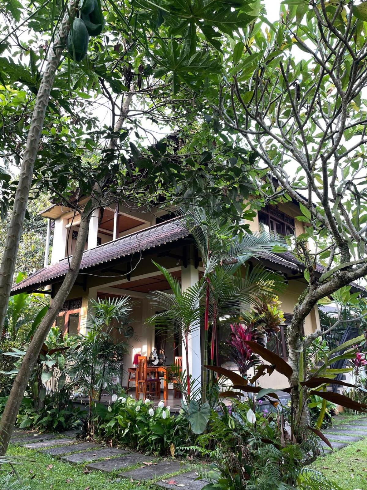 2br Jungle House In The Edge Of Ubud (Bali)