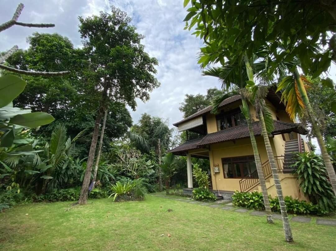 2br Jungle House In The Edge Of Apartment
