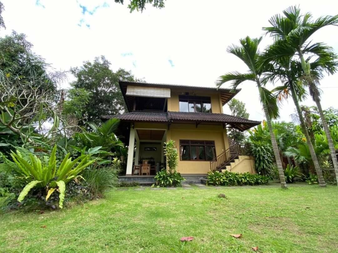 2br Jungle House In The Edge Of