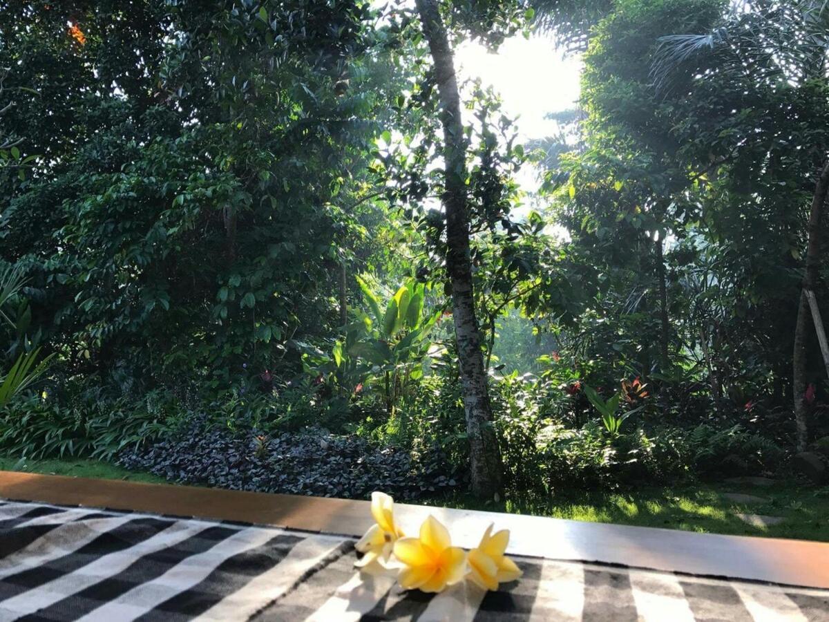 Apartment 2br Jungle House In The Edge Of Ubud (Bali)