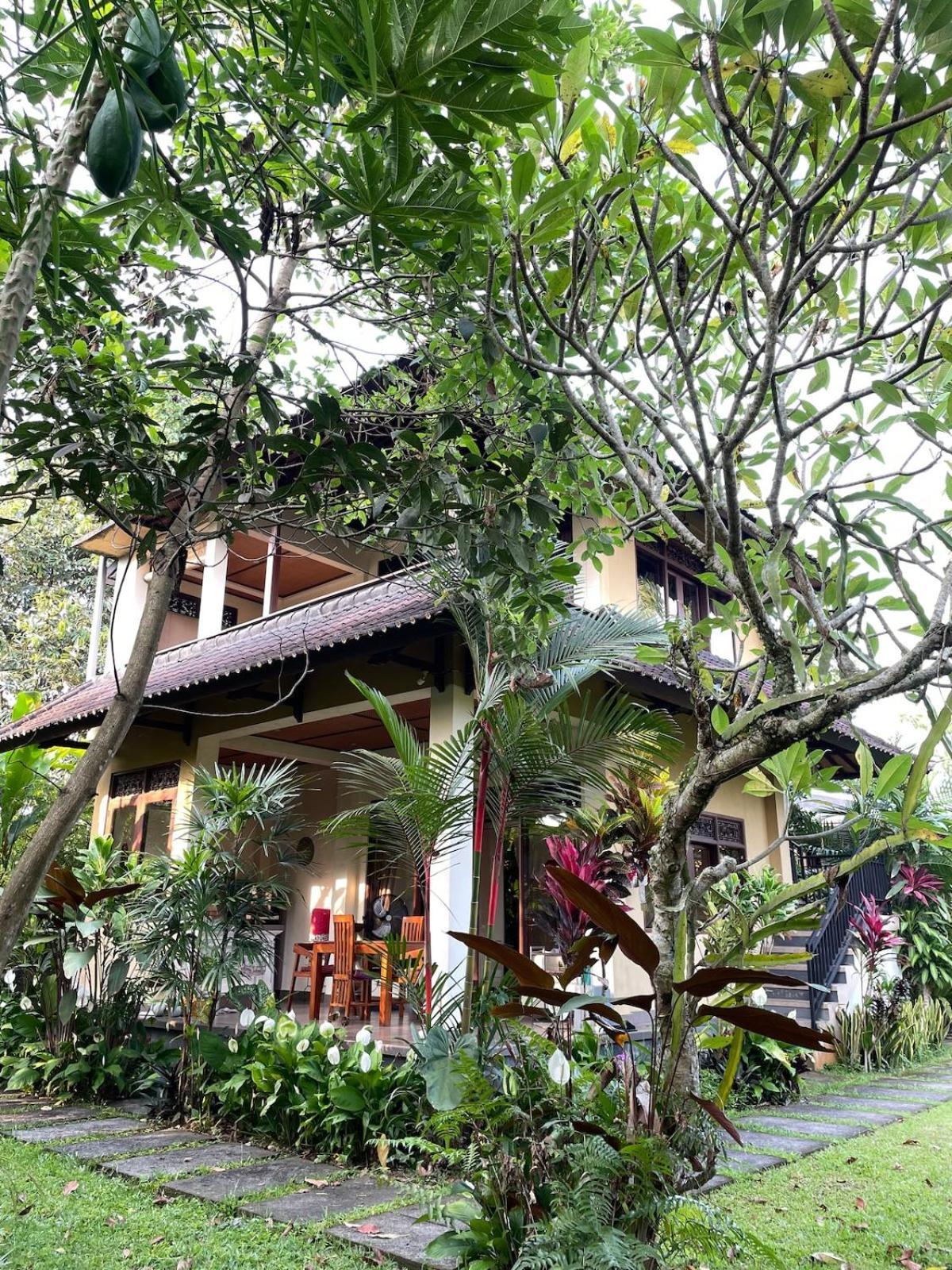 Apartment 2br Jungle House In The Edge Of