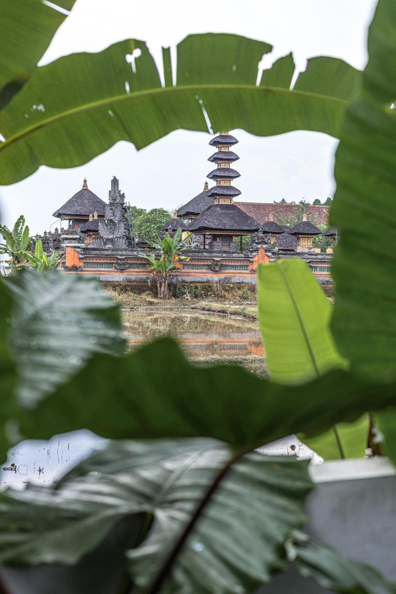 Niki * Ubud (Bali)