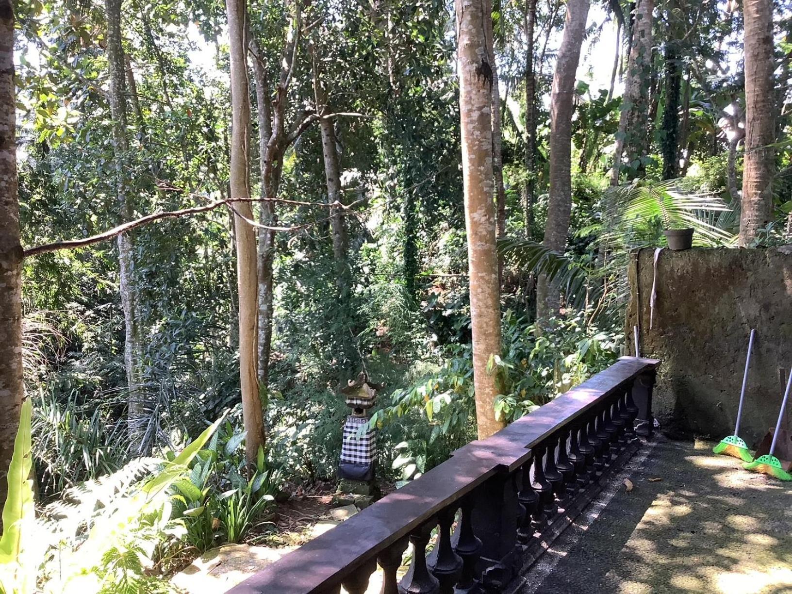 Jungle Hideaway - Newly Renovated Formerly Griya Bunga 2 - Unit 4 * Ubud (Bali)