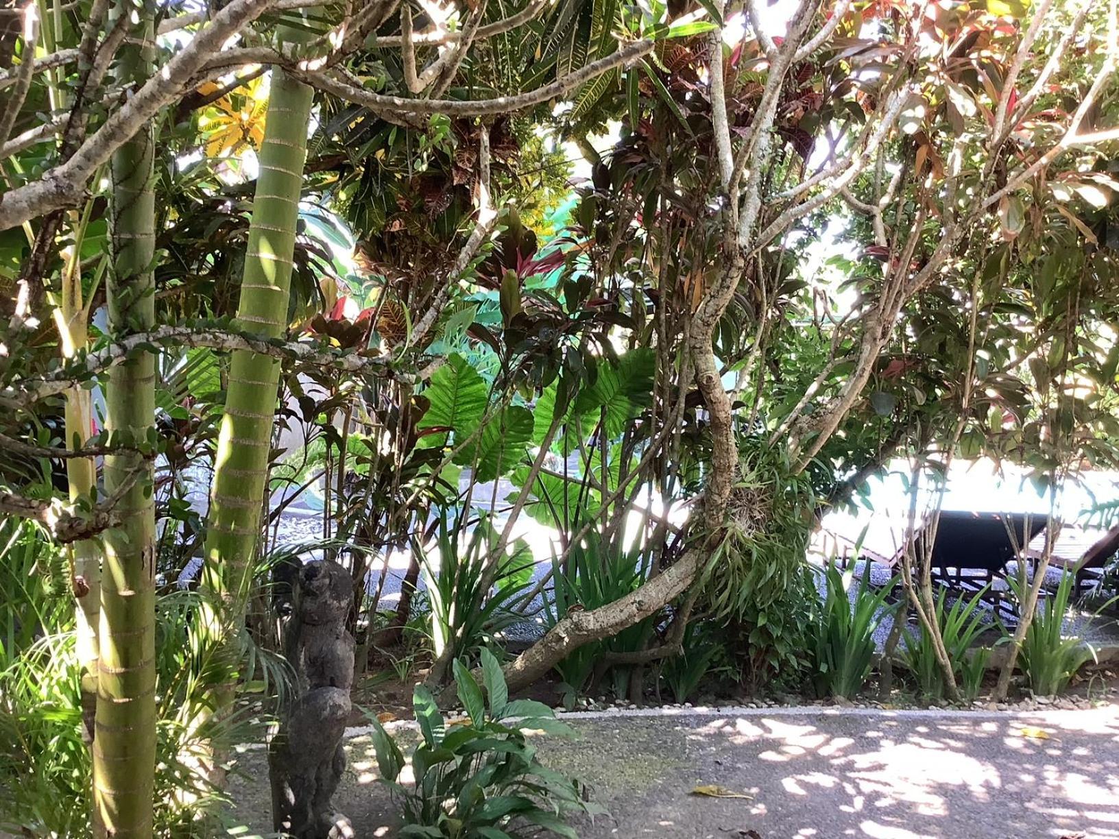 Apartment Jungle Hideaway - Newly Renovated Formerly Griya Bunga 2 - Unit 4