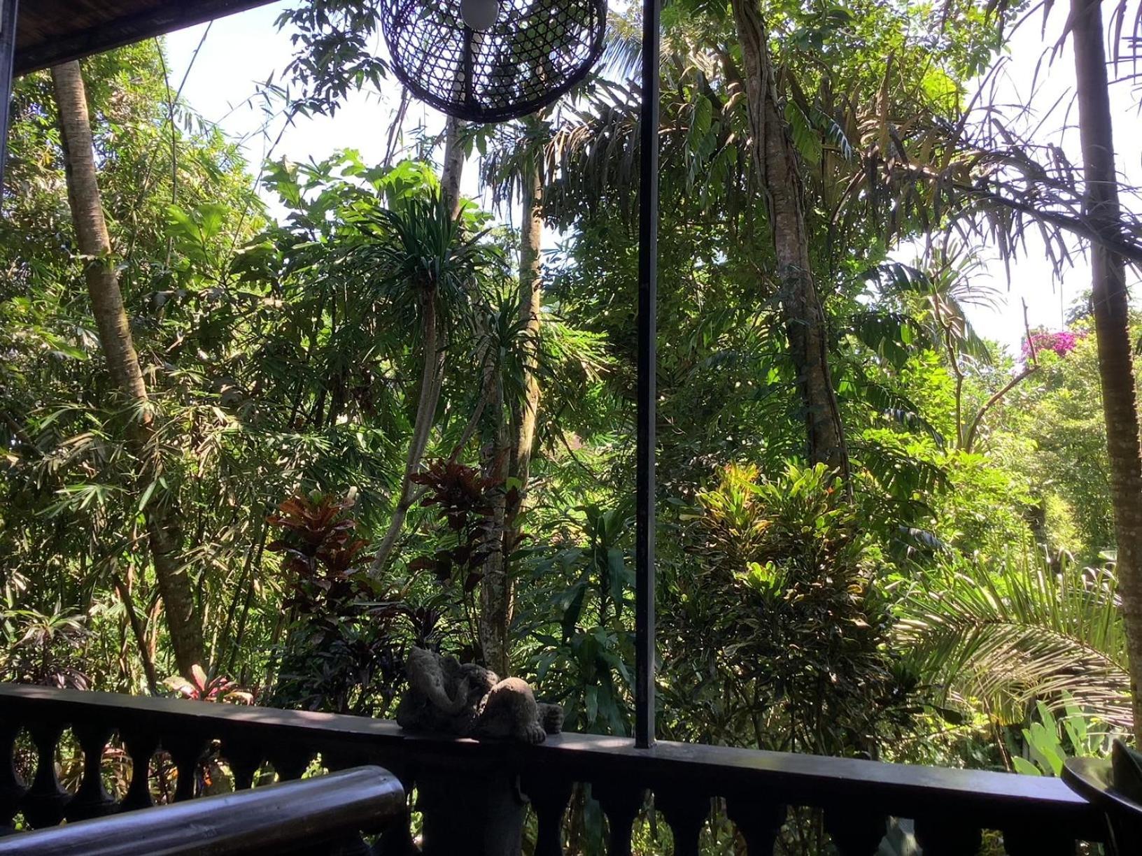 Jungle Hideaway - Newly Renovated Formerly Griya Bunga 2 - Unit 4 *