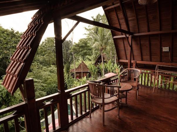 The Jungle