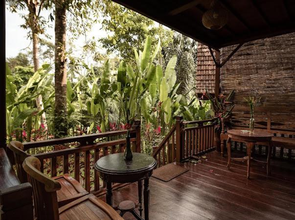 The Jungle Family Ubud