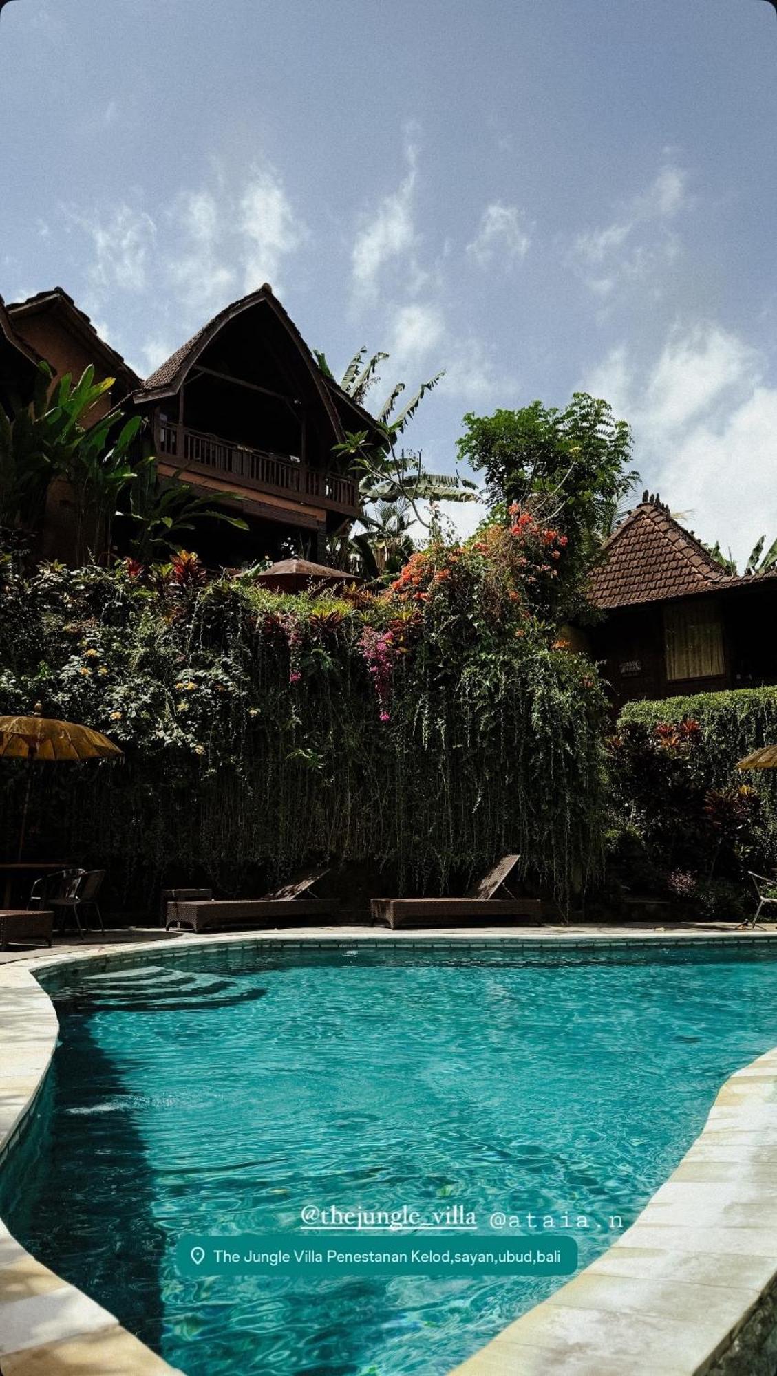 The Jungle Family * Ubud
