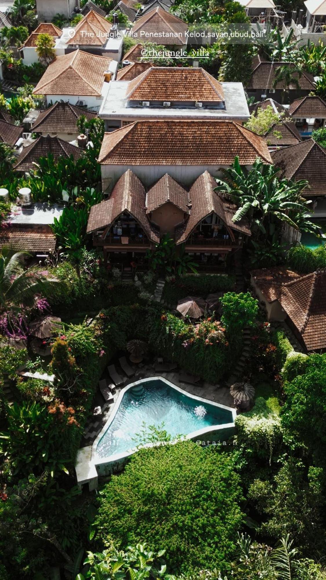 The Jungle Family Ubud