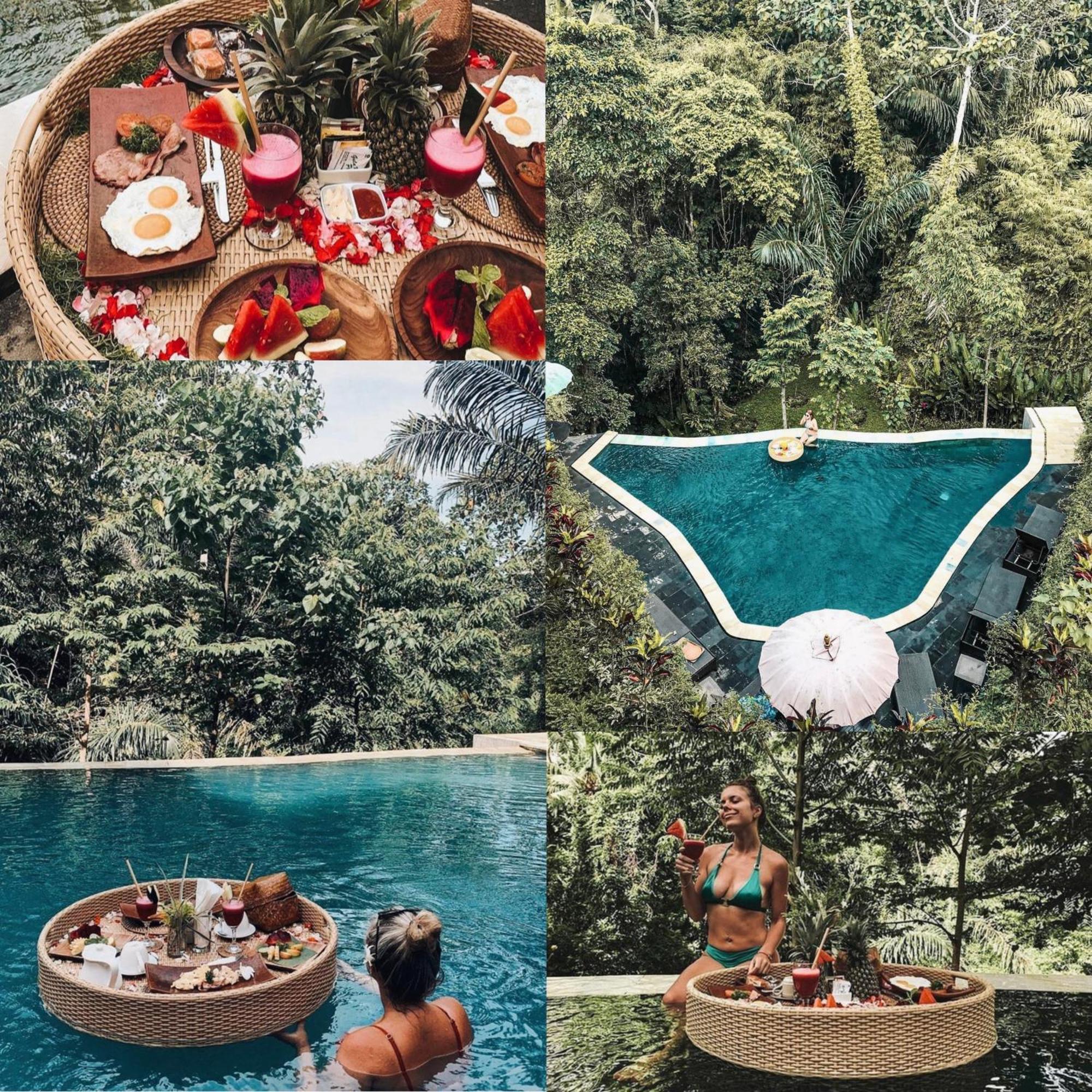 Villa The Jungle Family *