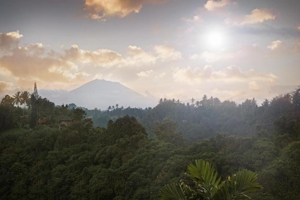Anhera & Ubud (Bali)