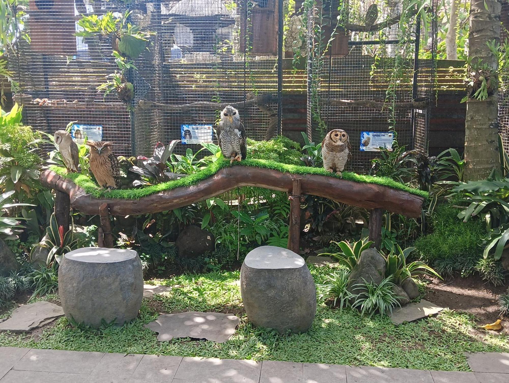 Liyer Spirit House Wisma tamu 3*