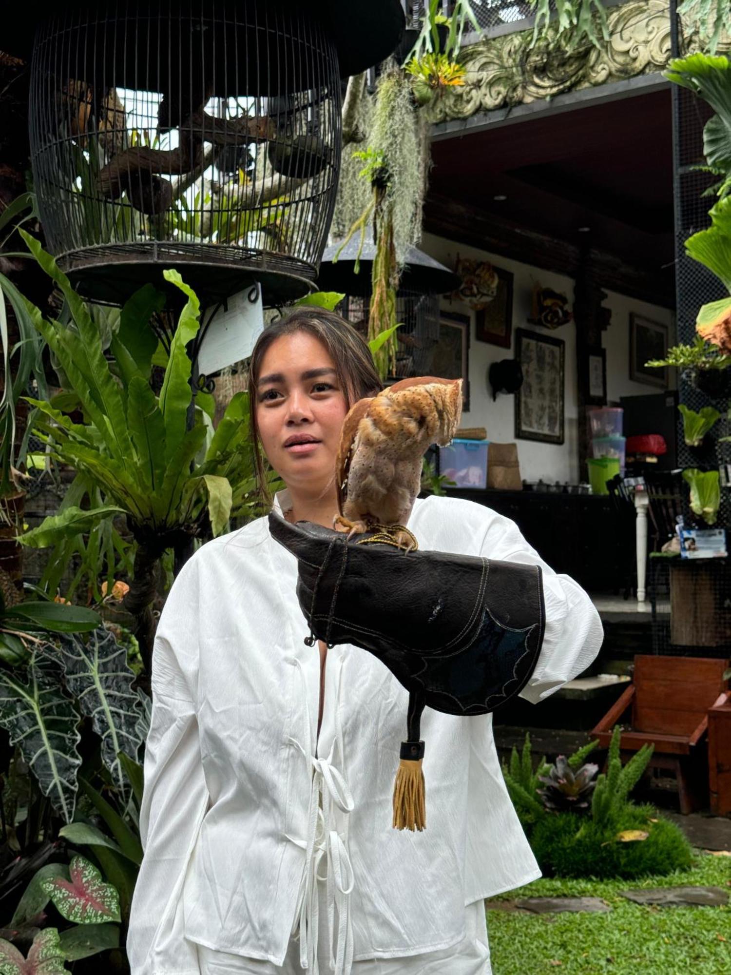 Wisma tamu Liyer Spirit House Ubud (Bali)