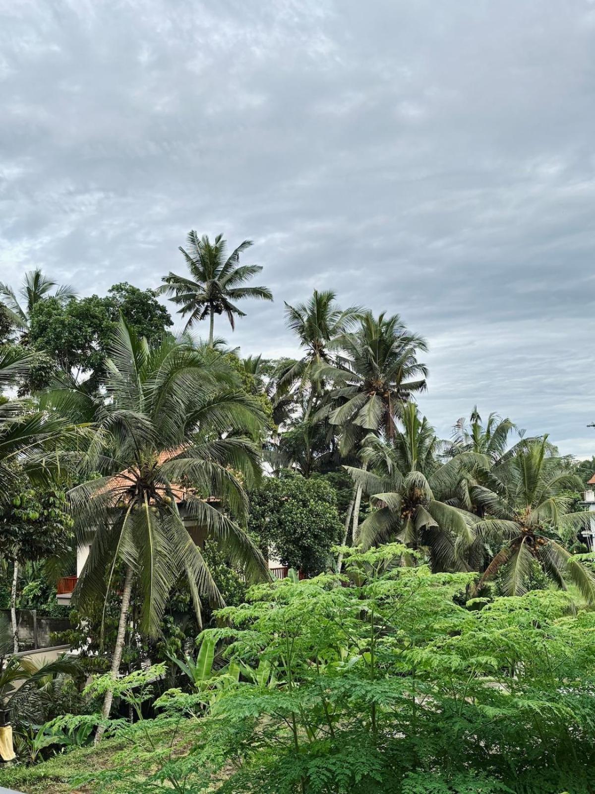 Umah Made Bali & Art Space Homestay Ubud (Bali)