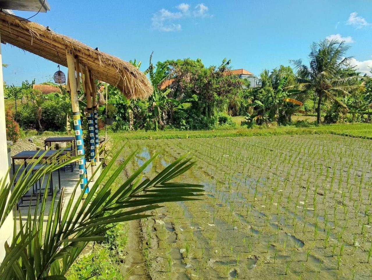 Bed & Breakfast Puri Ume Dewi Private Villa With 3 Room