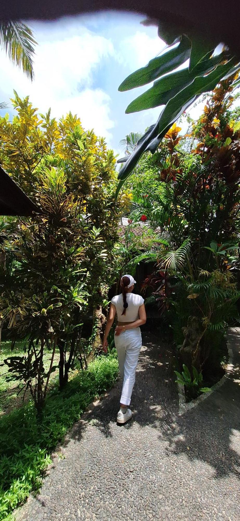 Jungle Hideaway - Newly Renovated Formerly Griya Bunga 2 - Unit 3 Villa Ubud (Bali)