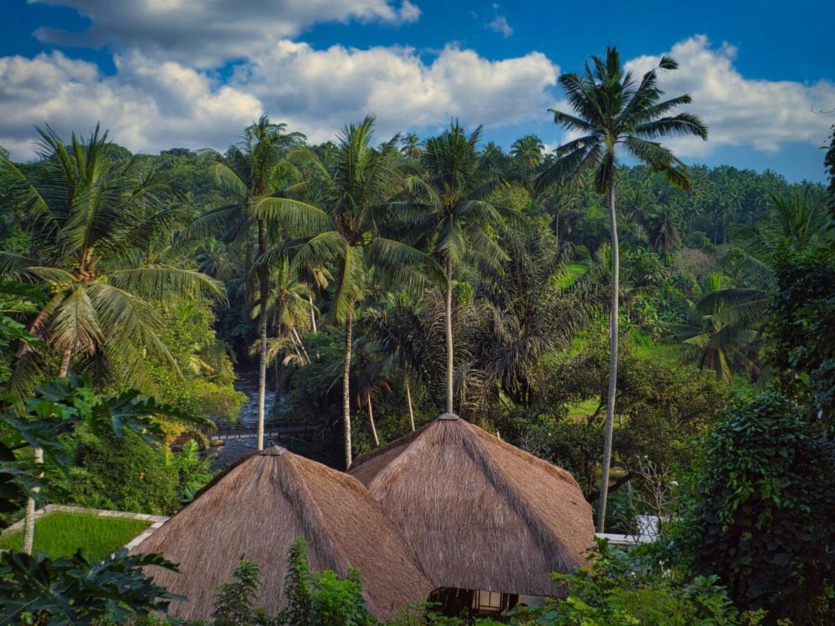 River Song Bali Sayan 9 Br Villa Ubud (Bali)