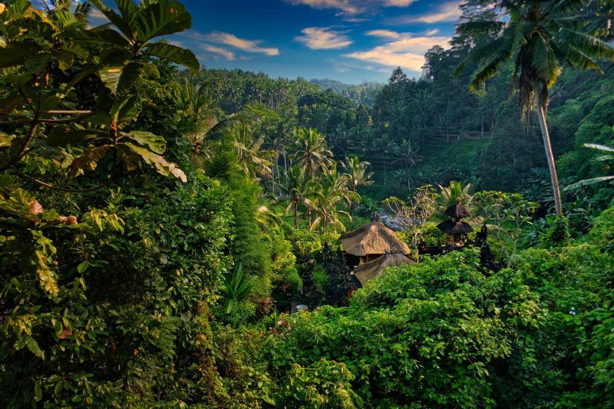River Song Bali Sayan 9 Br *