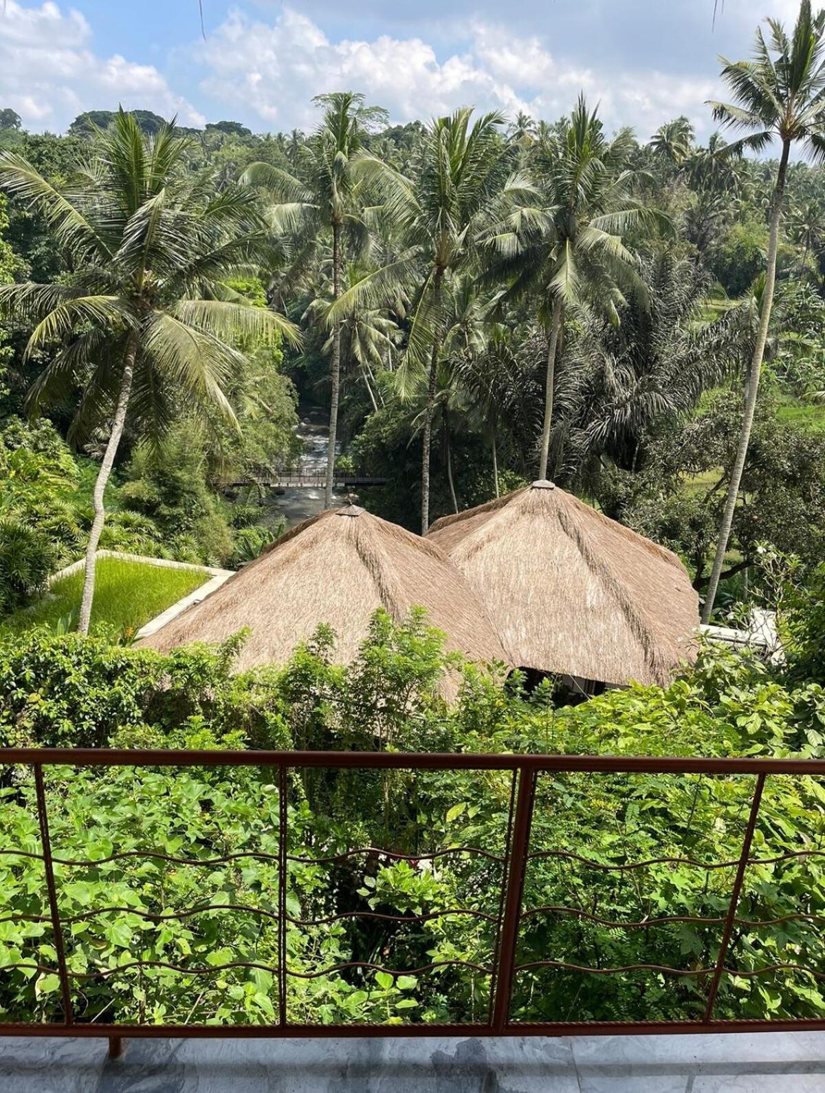 River Song Bali Sayan 9 Br Villa Ubud (Bali)