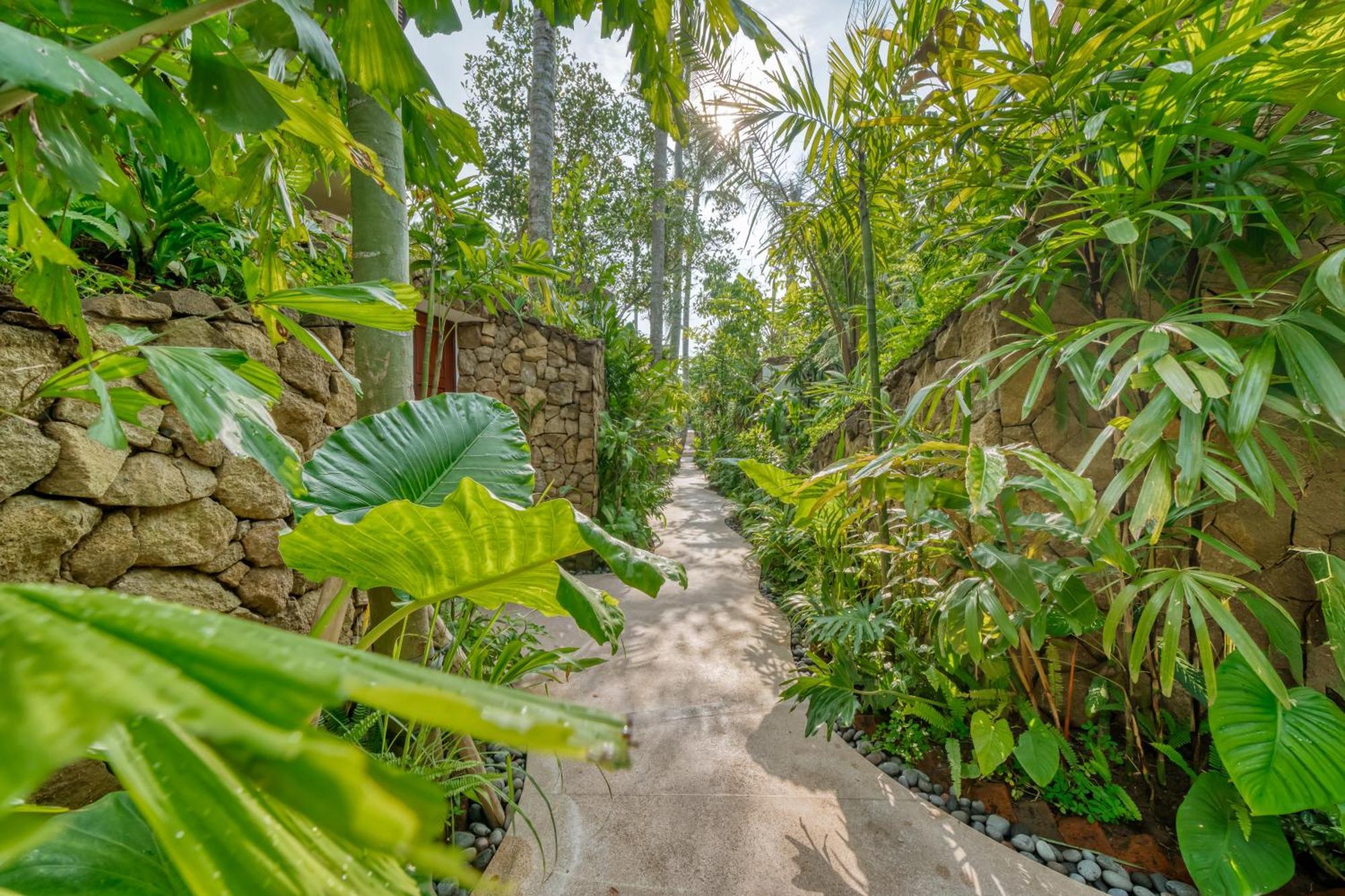 Jungle Flower