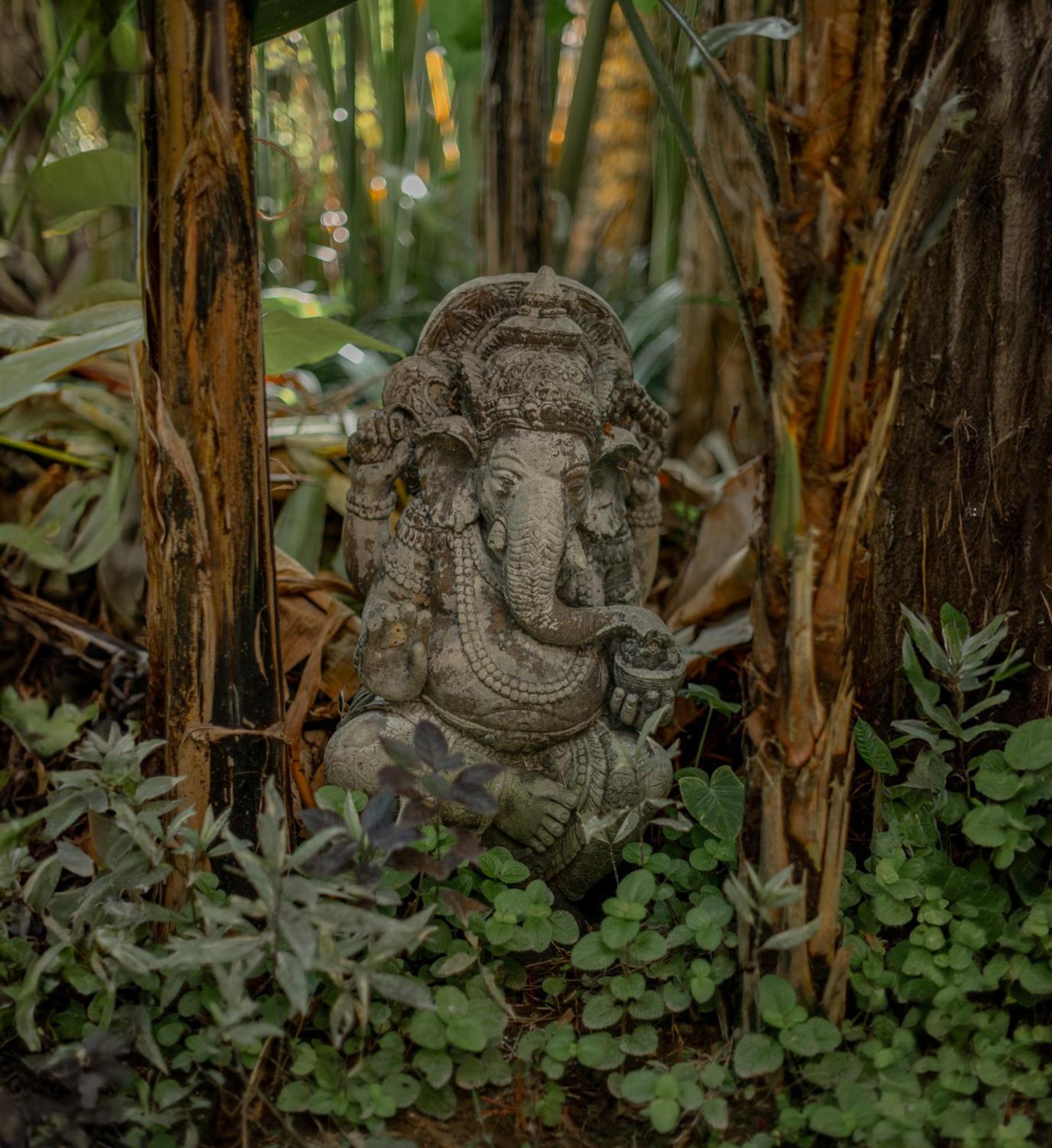 Philosopher Ubud (Bali)