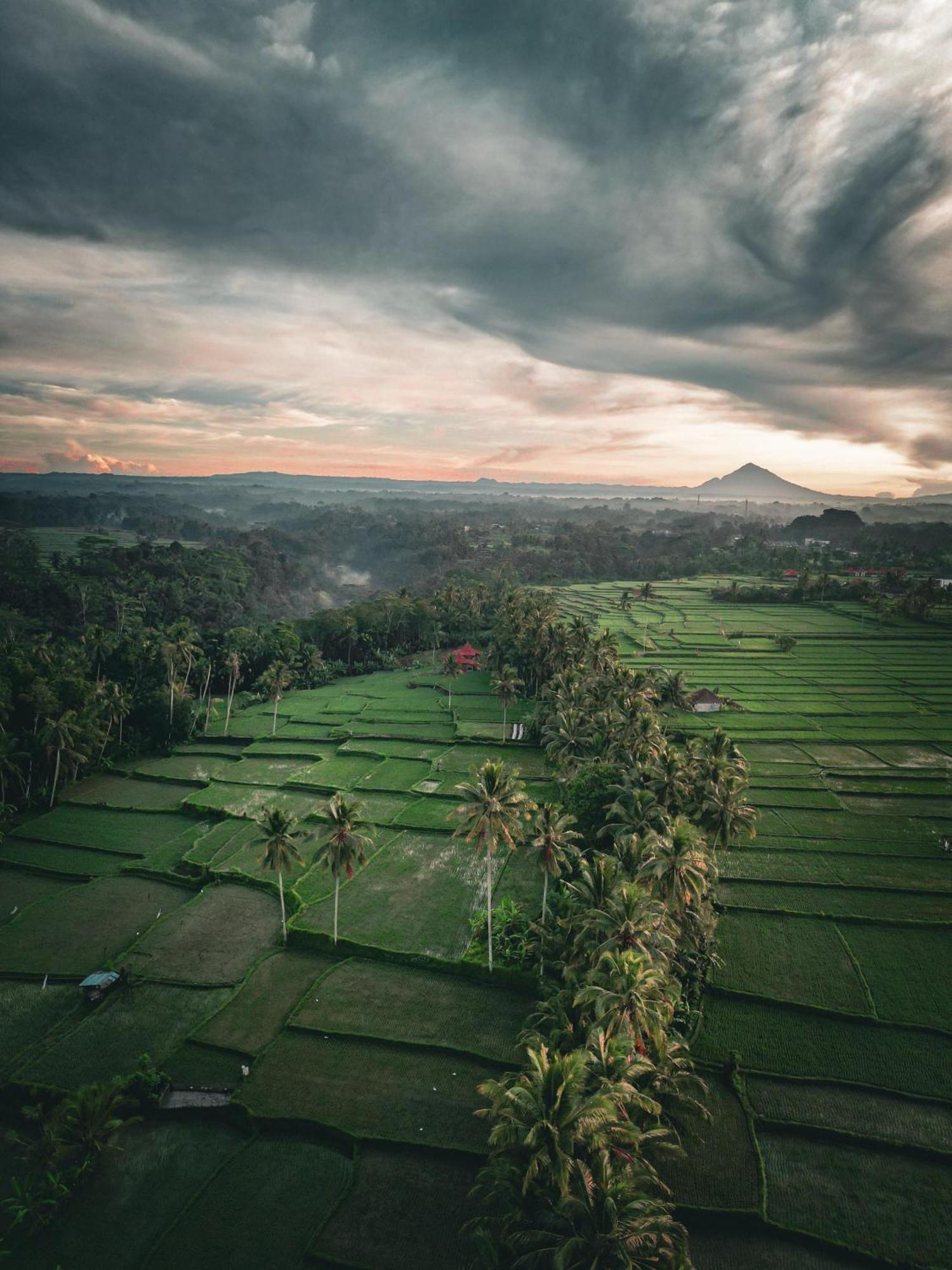 Guest house Ayu Duwur Beji Ubud (Bali)