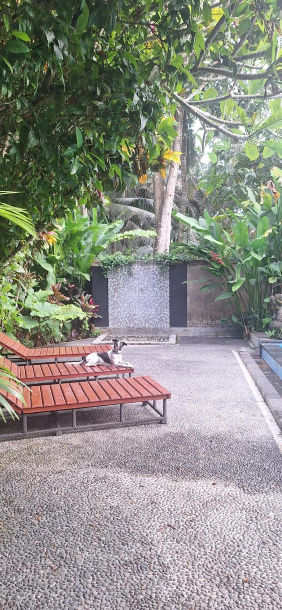 Apartment Jungle Hideaway - Newly Renovated Formerly Griya Bunga 2 - Unit 4