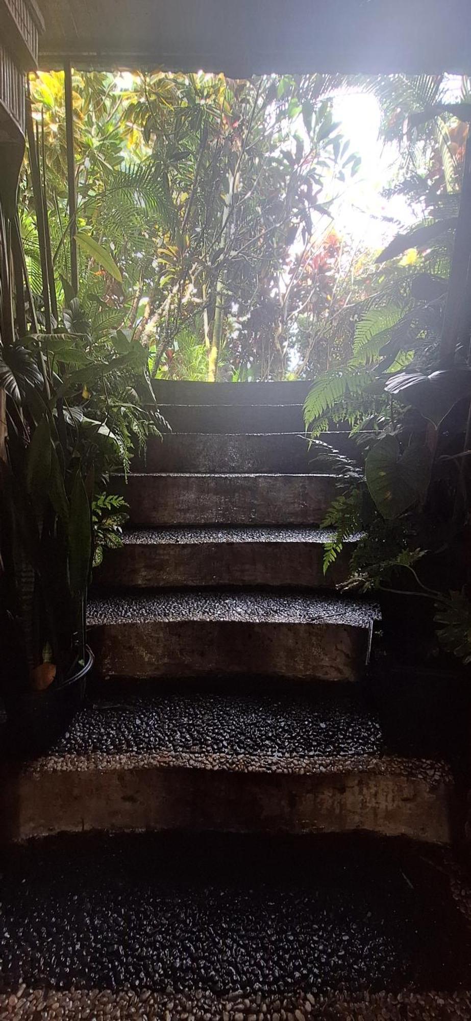Jungle Hideaway - Newly Renovated Formerly Griya Bunga 2 - Unit 4 Apartment Ubud (Bali)