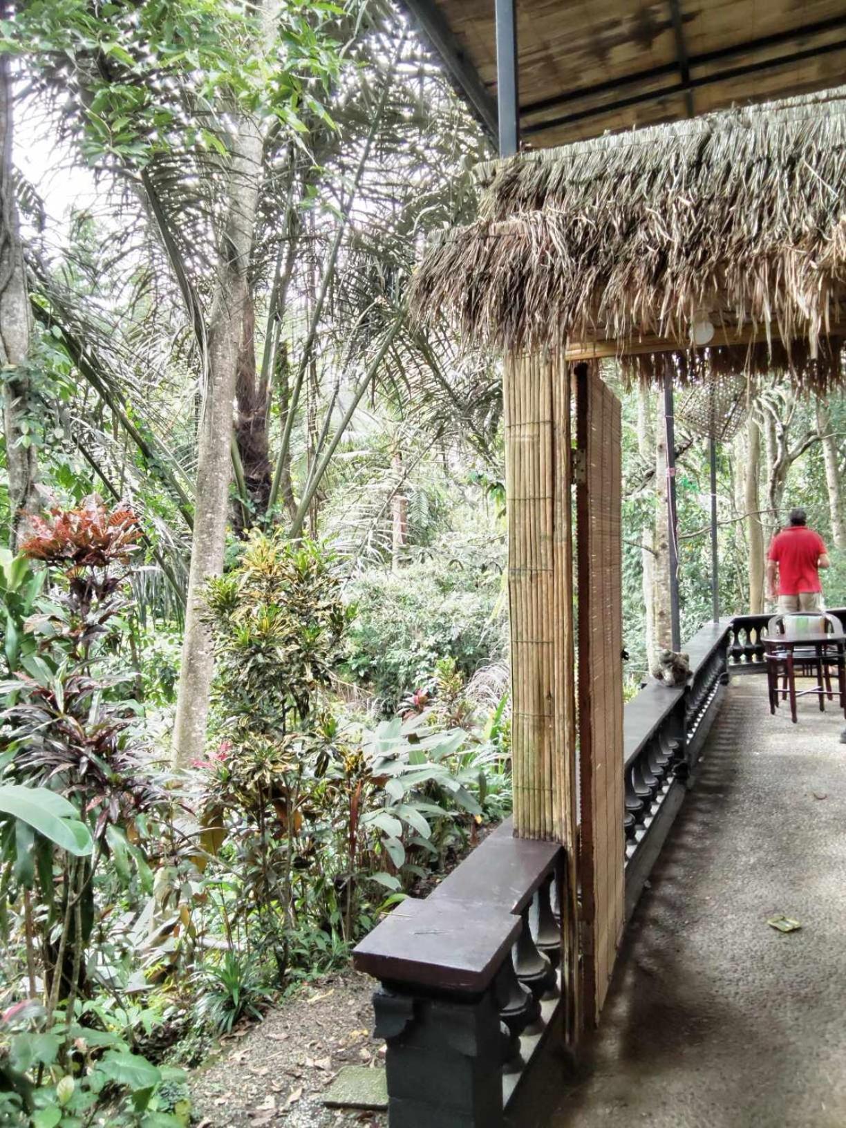 Apartment Jungle Hideaway - Newly Renovated Formerly Griya Bunga 2 - Unit 4 *