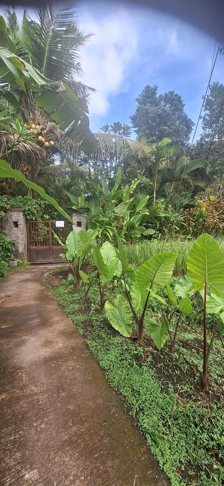 Apartment Jungle Hideaway - Newly Renovated Formerly Griya Bunga 2 - Unit 4 *