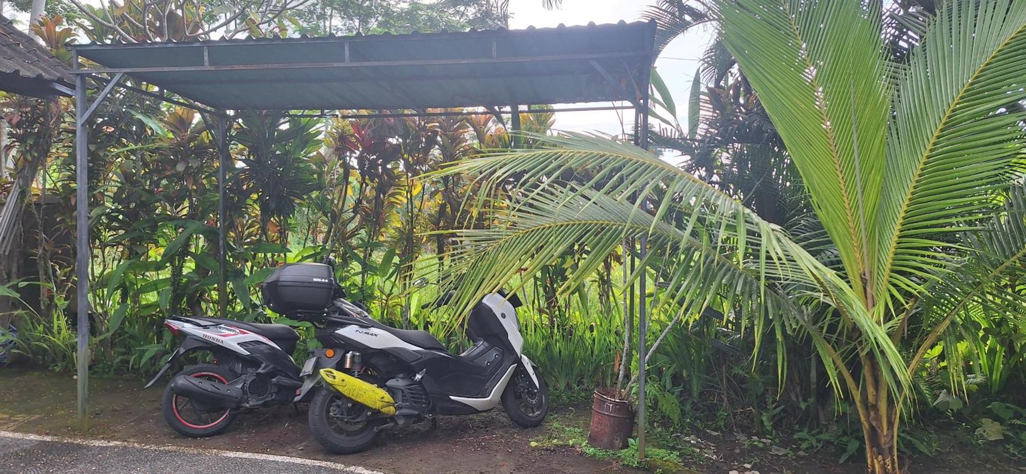 Jungle Hideaway - Newly Renovated Formerly Griya Bunga 2 - Unit 4 Apartment