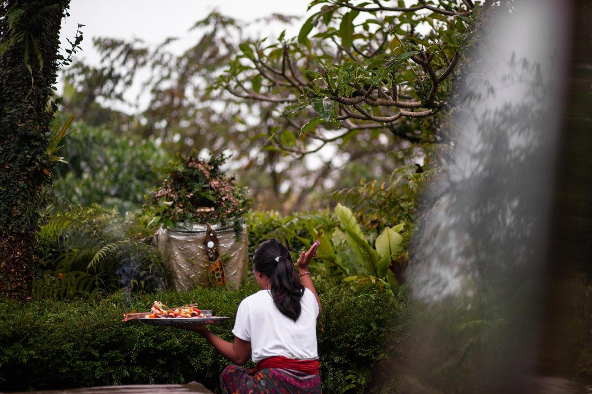 Rumah Hujan Ubud (Bali)
