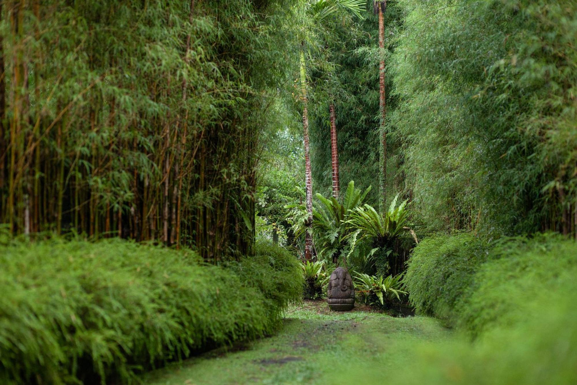 Rumah Hujan Villa *