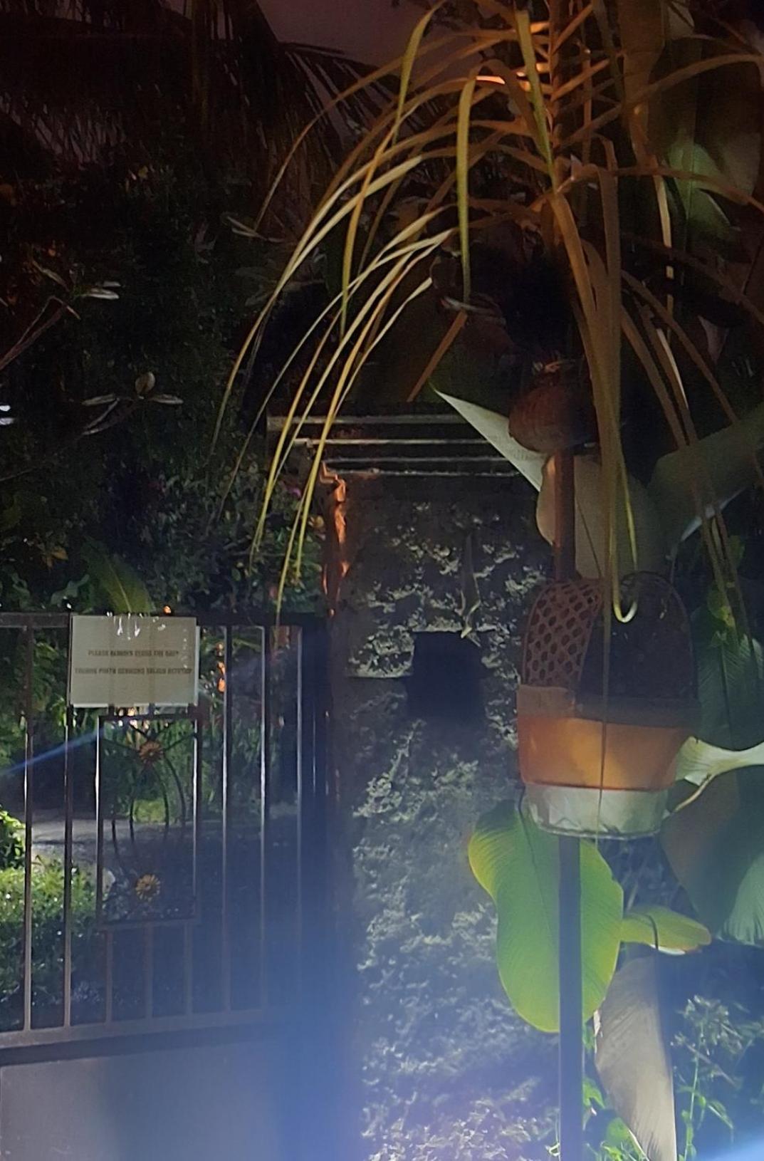 Jungle Hideaway - Newly Renovated Formerly Griya Bunga 2 - Unit 4 *