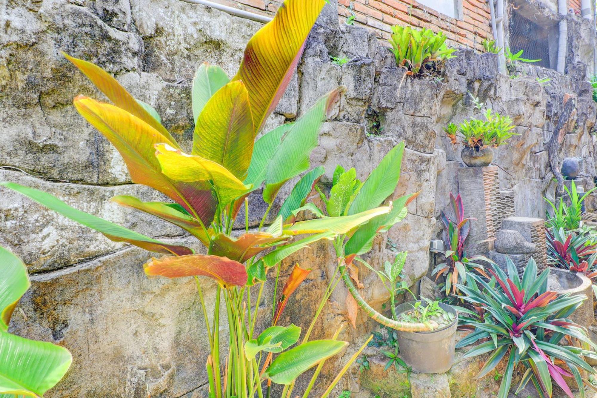 O Ubud Asri Near Monkey Forest *