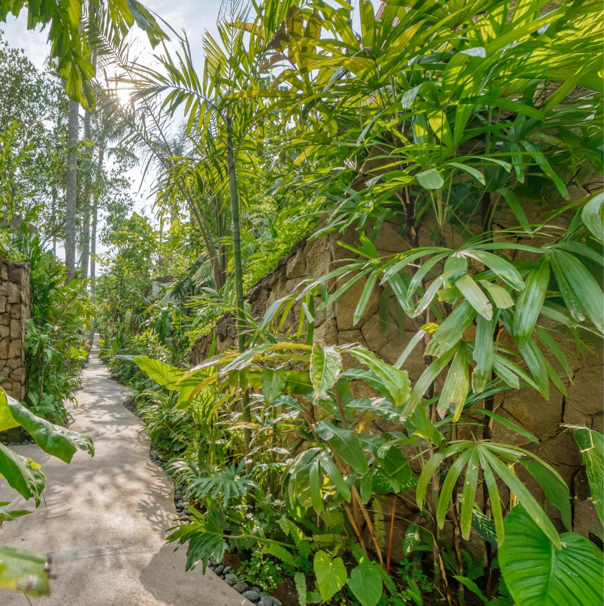 Jungle Flower Villa