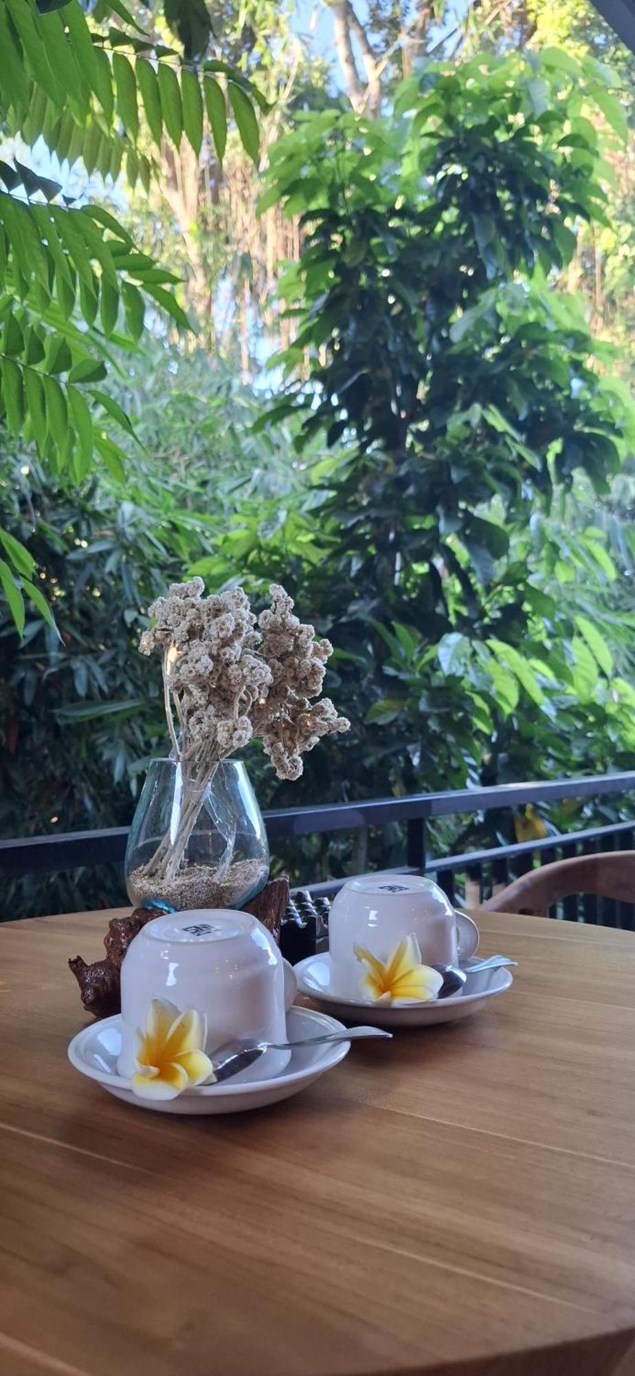 Guest house Asna House *