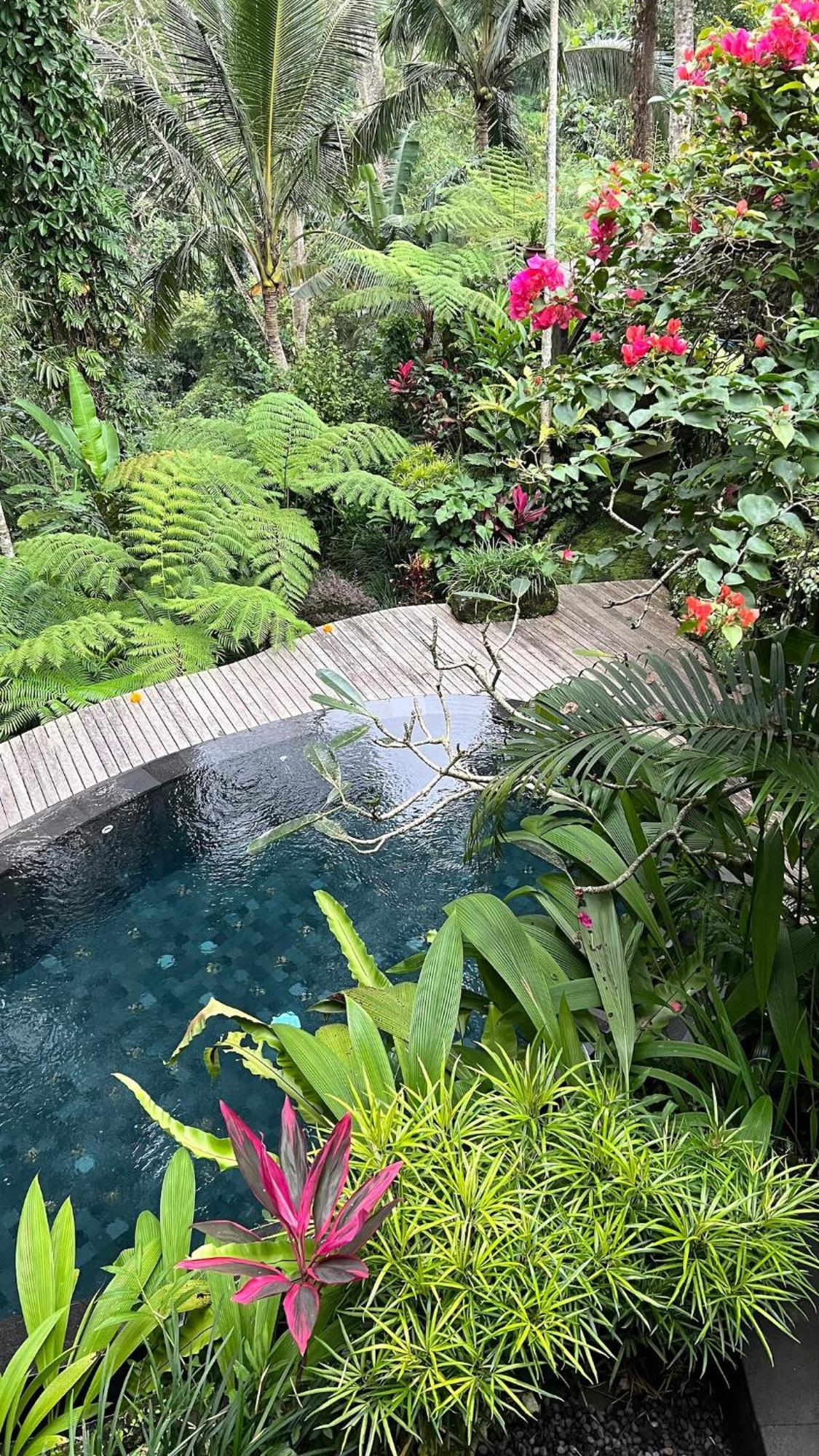 Ki Ma Ya Retreat, Zen Sanctuary Villa *