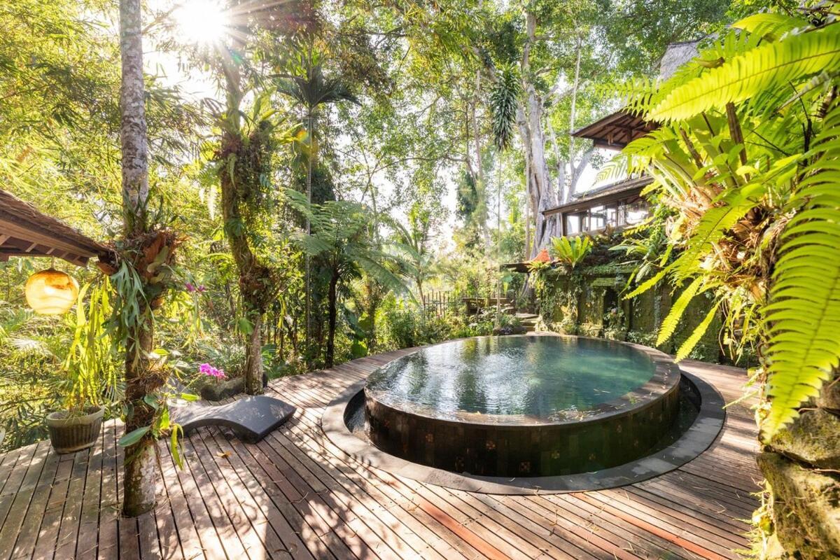 Ki Ma Ya Retreat, Zen Sanctuary *