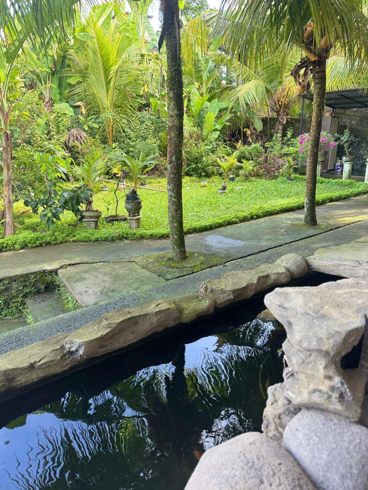 Pineapple House Ubud (Bali)