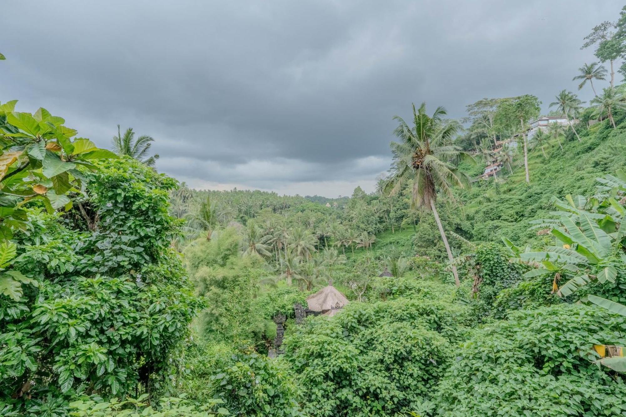 Heaven View 6 B Ubud (Bali)