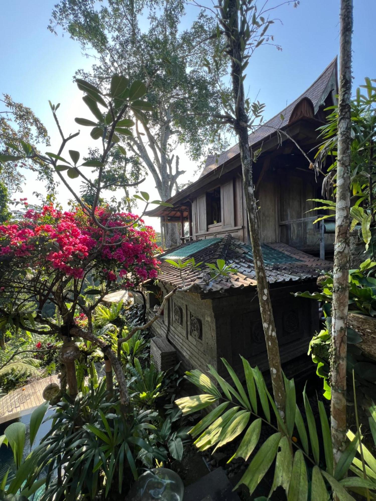 Ki Ma Ya Retreat, Zen Sanctuary